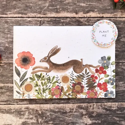 Plantable Seed Card, Birthdays or Occasions, Hare, Blank Inside