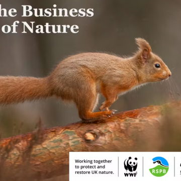 The Business Of Nature Documentary